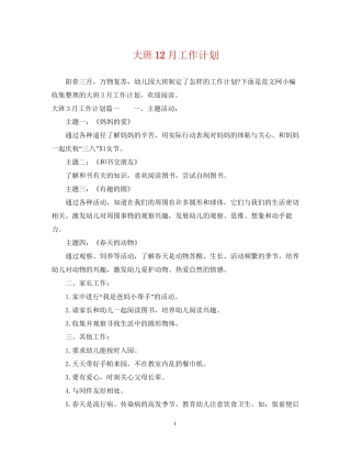 大班12月工作计划