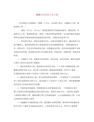 市水利局工作计划