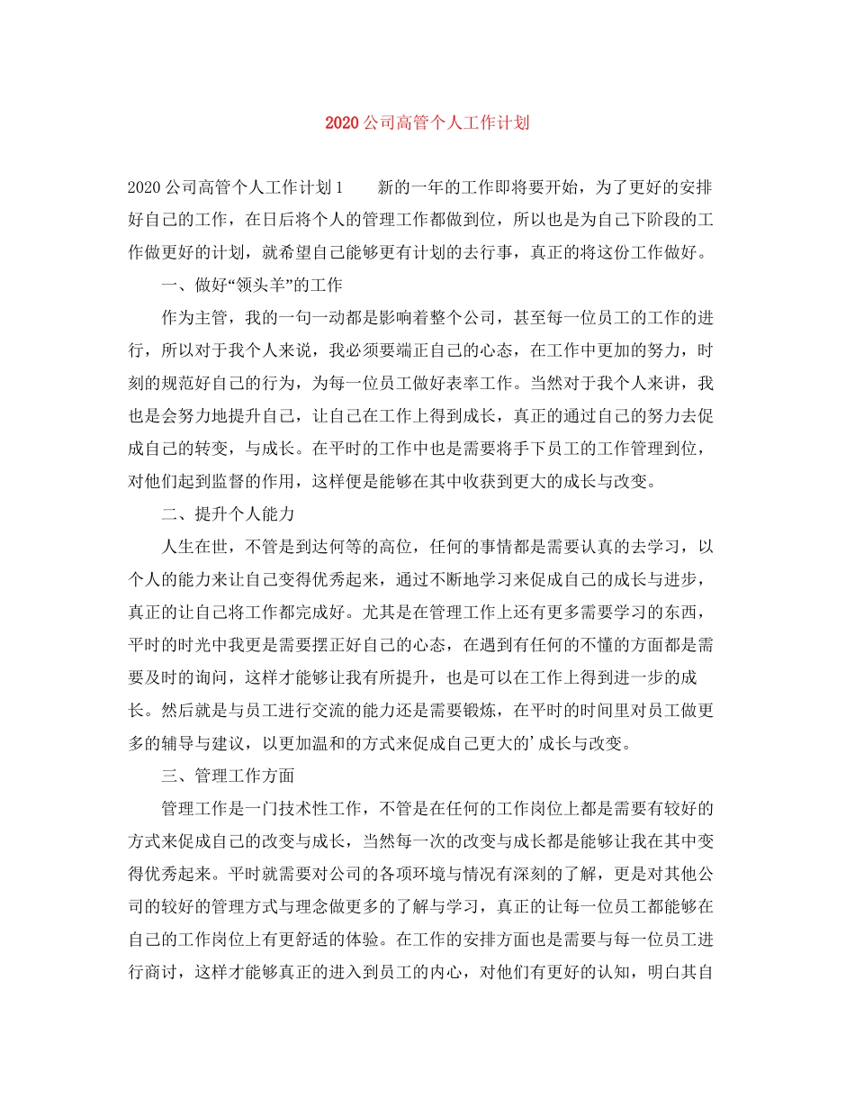 公司高管个人工作计划_第1页
