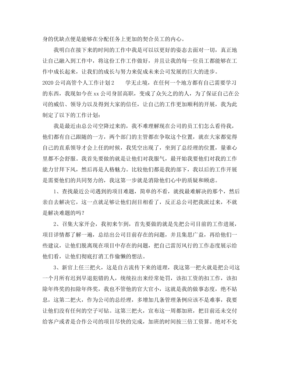 公司高管个人工作计划_第2页