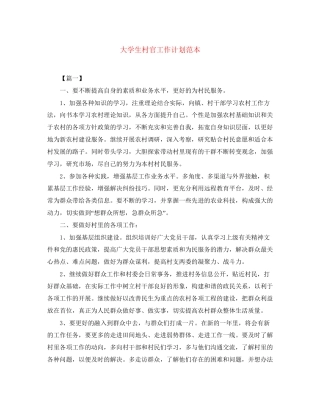 大学生村官工作计划范本