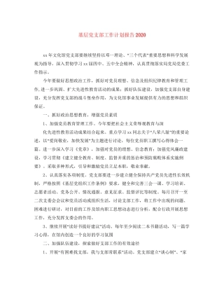 基层党支部工作计划报告2