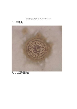 常见的鱼类寄生虫资料