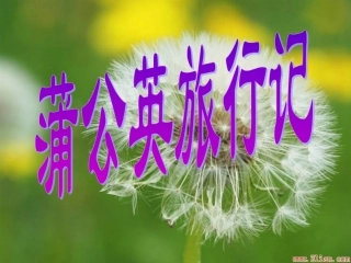 蒲公英旅行记