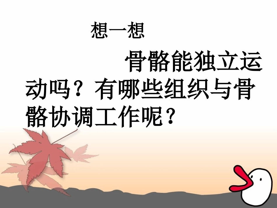 骨骼、关节和肌肉_第3页
