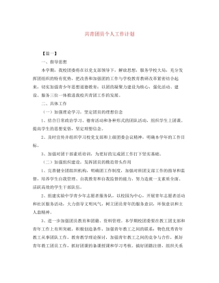 共青团员个人工作计划