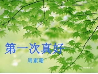 七年级语文第一次真好