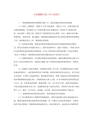 乡镇党委工作计划报告