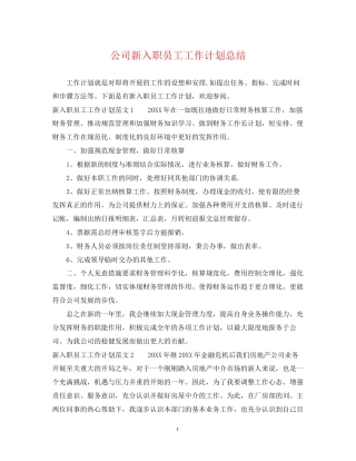 公司新入职员工工作计划总结