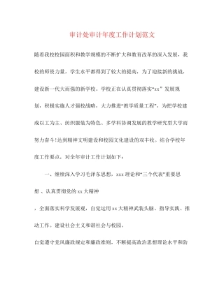 审计处审计年度工作计划范文