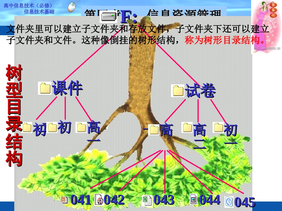 高中信息技术信息资源管理_第3页