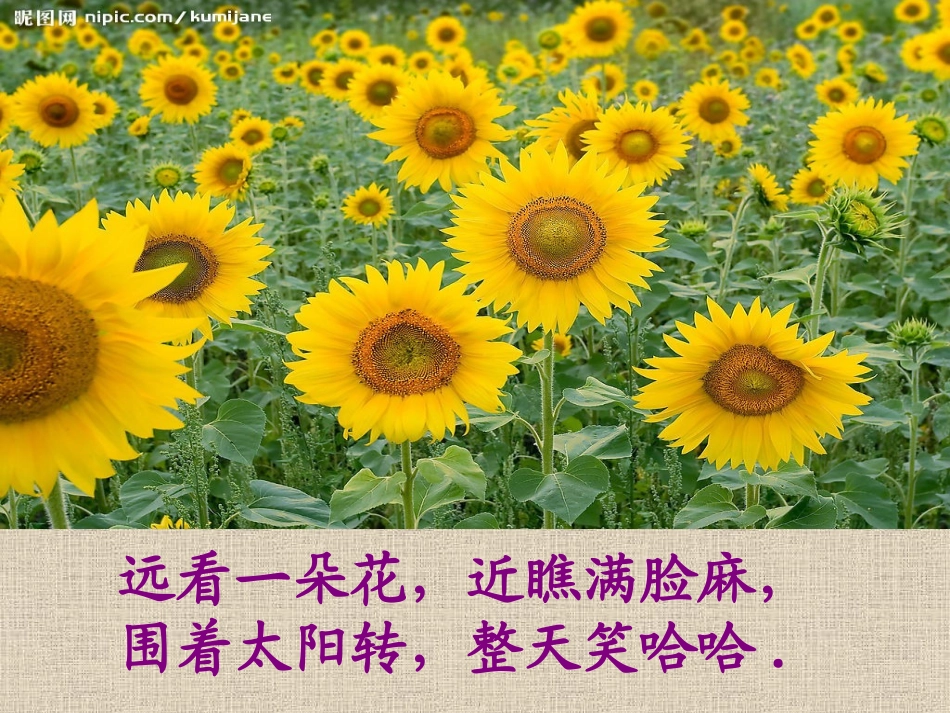 小稻秧脱险记123_第2页