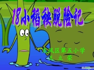 小稻秧脱险记123