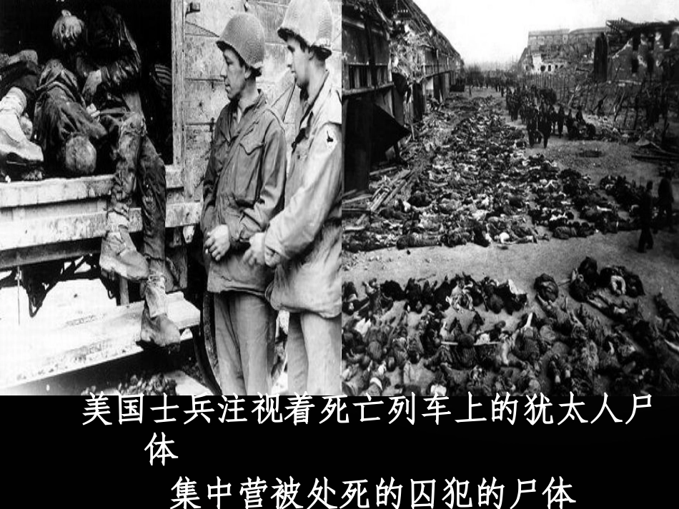奥斯维辛没有没有什么新闻课件_第3页