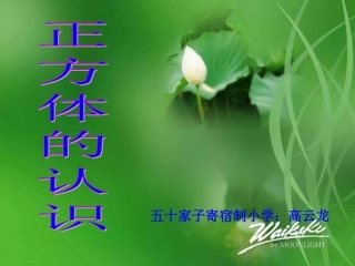 高云龙正方体