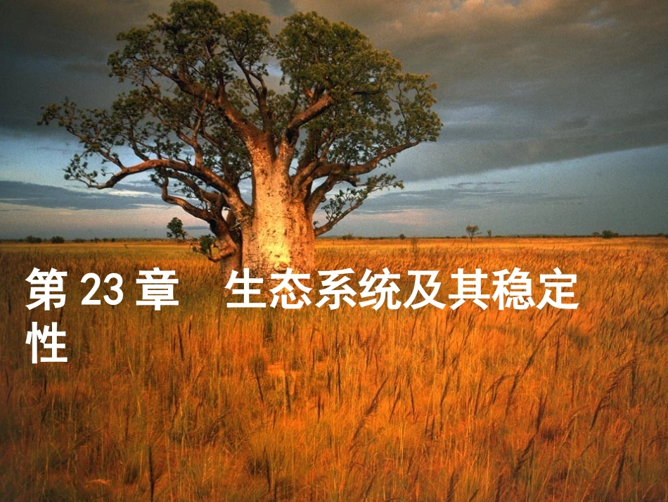 第一课时第一节生态系统概述_第2页