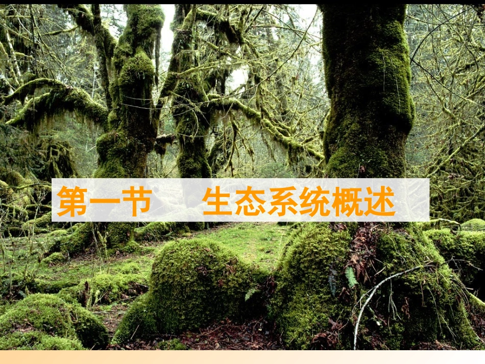 第一课时第一节生态系统概述_第3页