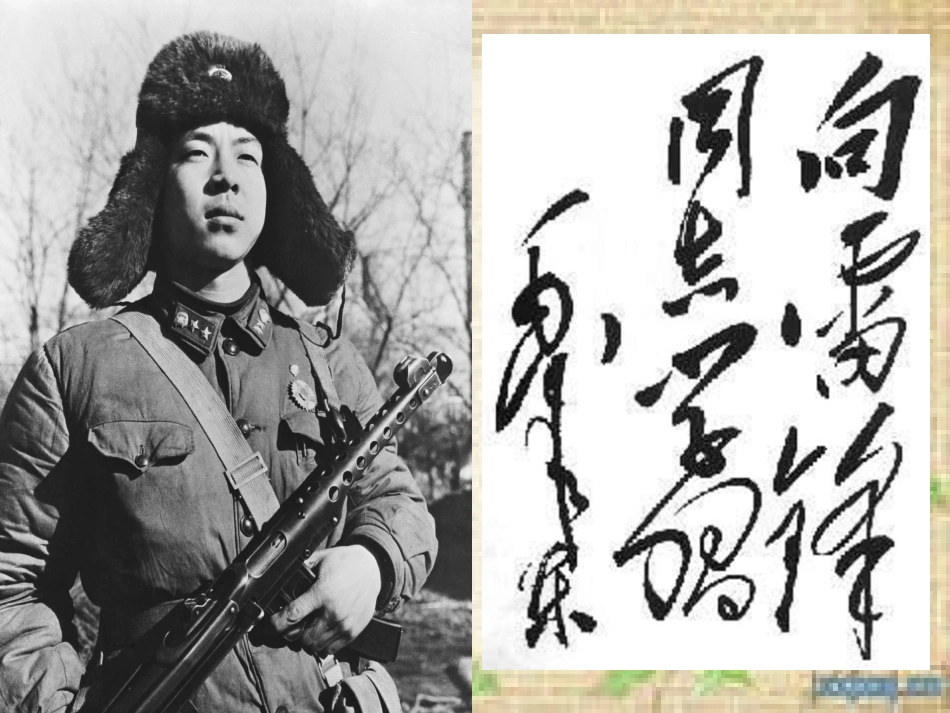 学雷锋，争做五星级学生_第3页