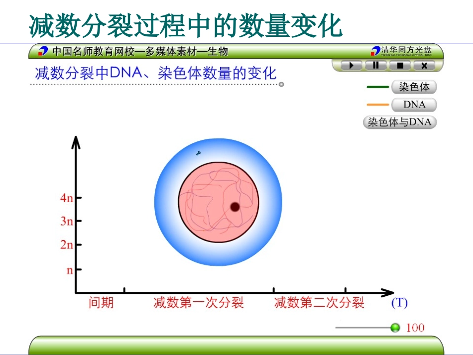 减数分裂过程中的数量变化2_第1页