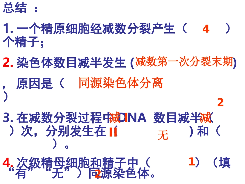 减数分裂过程中的数量变化2_第3页
