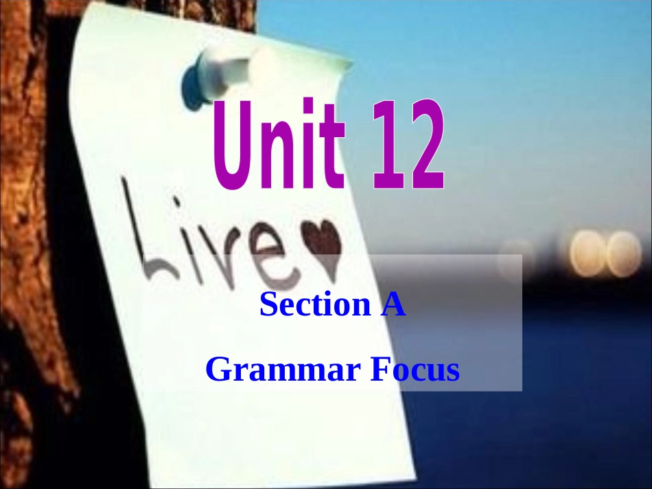 新九年级英语第12单元grammarfocus_第1页
