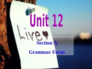 新九年级英语第12单元grammarfocus