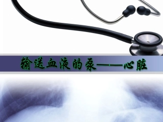 输送血液的泵——心脏