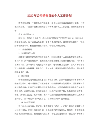 2020年公司销售员的个人工作计划