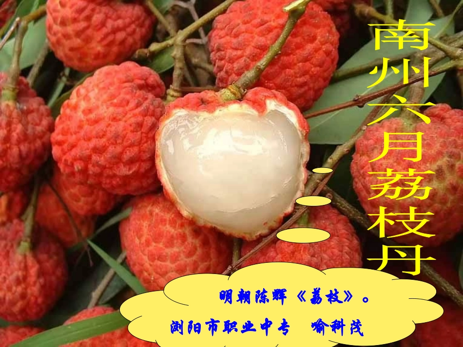 南州六月荔枝丹_第2页