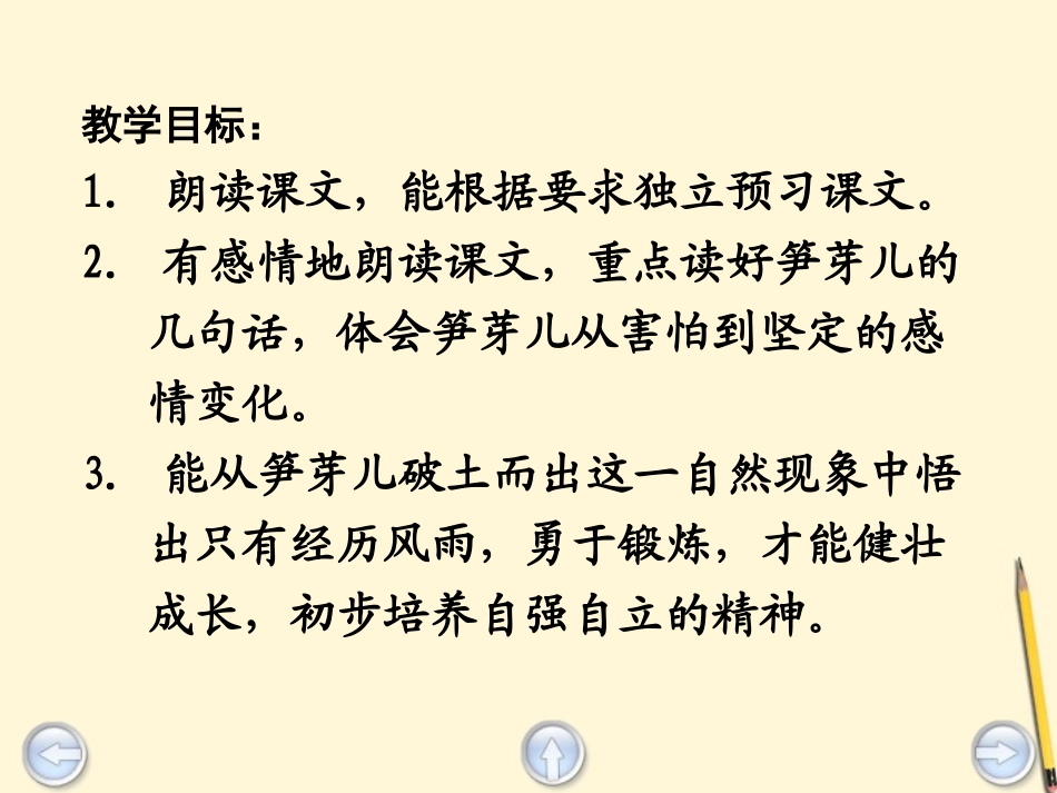 《笋芽儿》课件3_第2页