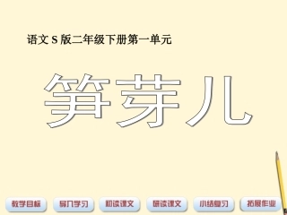 《笋芽儿》课件3