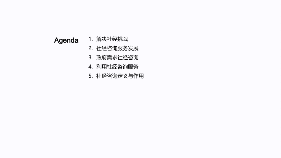 社经咨询：新时代解码-助力政府决策与社会发展_第2页