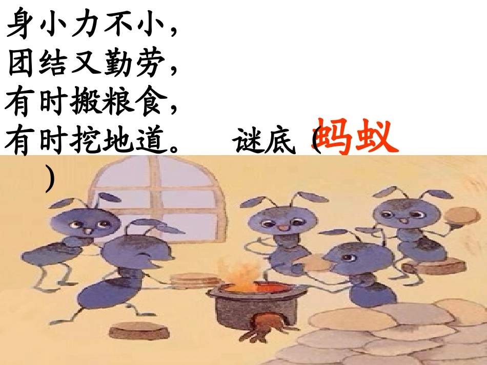 蚂蚁和蝈蝈石丹_第1页