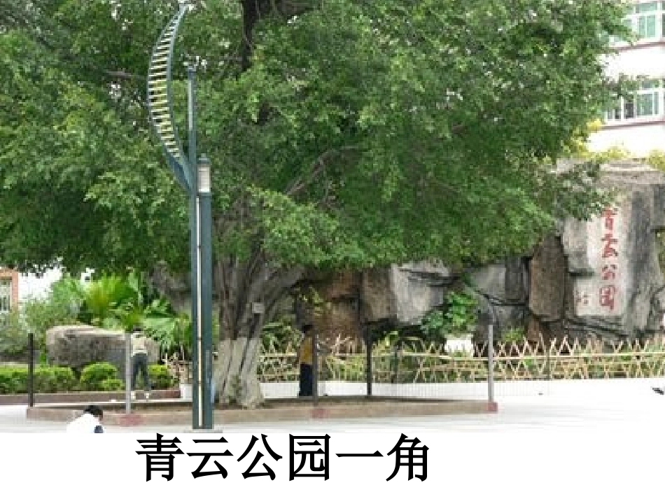 大班歌曲：逛公园_第3页