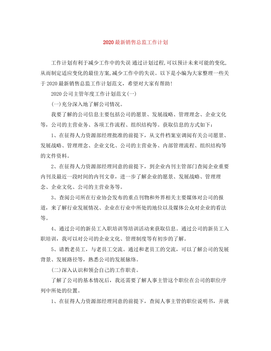 销售总监工作计划_第1页