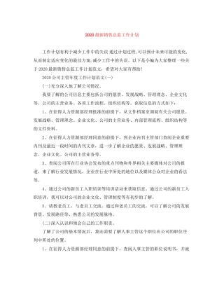 销售总监工作计划