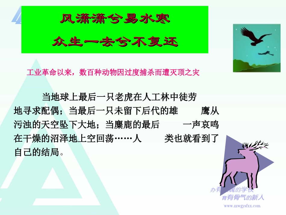 九：保护生物多样性_第1页