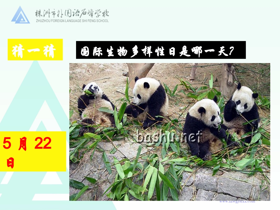 九：保护生物多样性_第3页