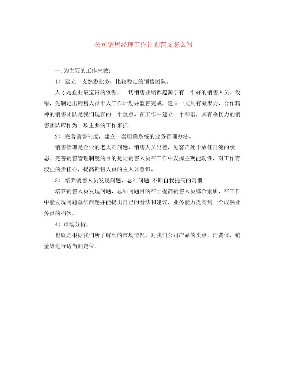 公司销售经理工作计划范文怎么写_第1页