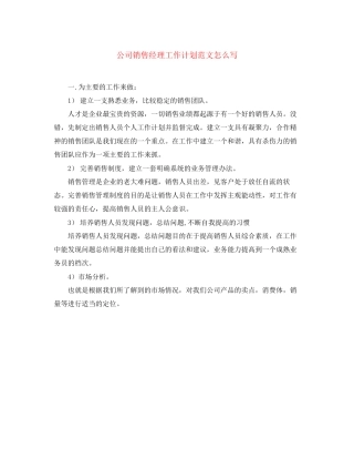 公司销售经理工作计划范文怎么写
