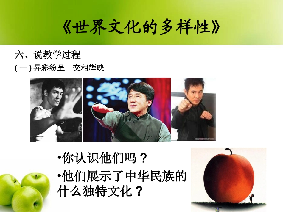 《世界文化的多样性》说课课件_第3页