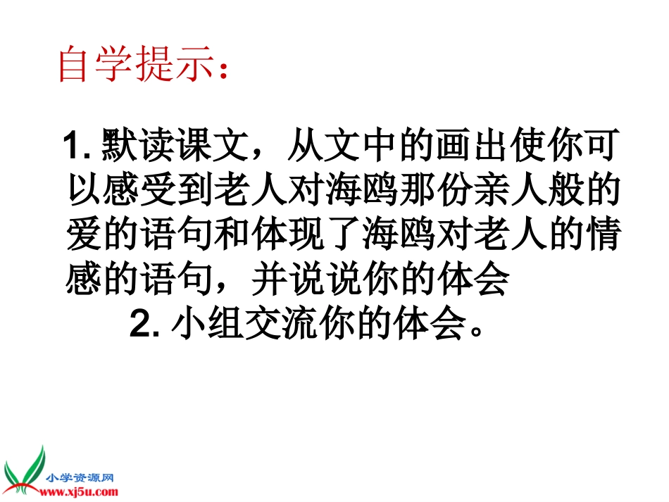 老人与海鸥课件 _第3页