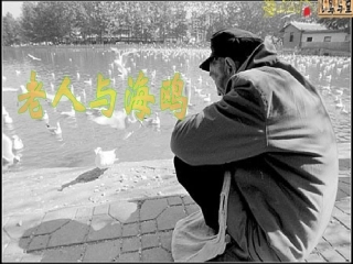 老人与海鸥课件 