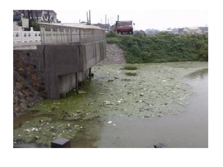 保护环境，爱护家园_第2页