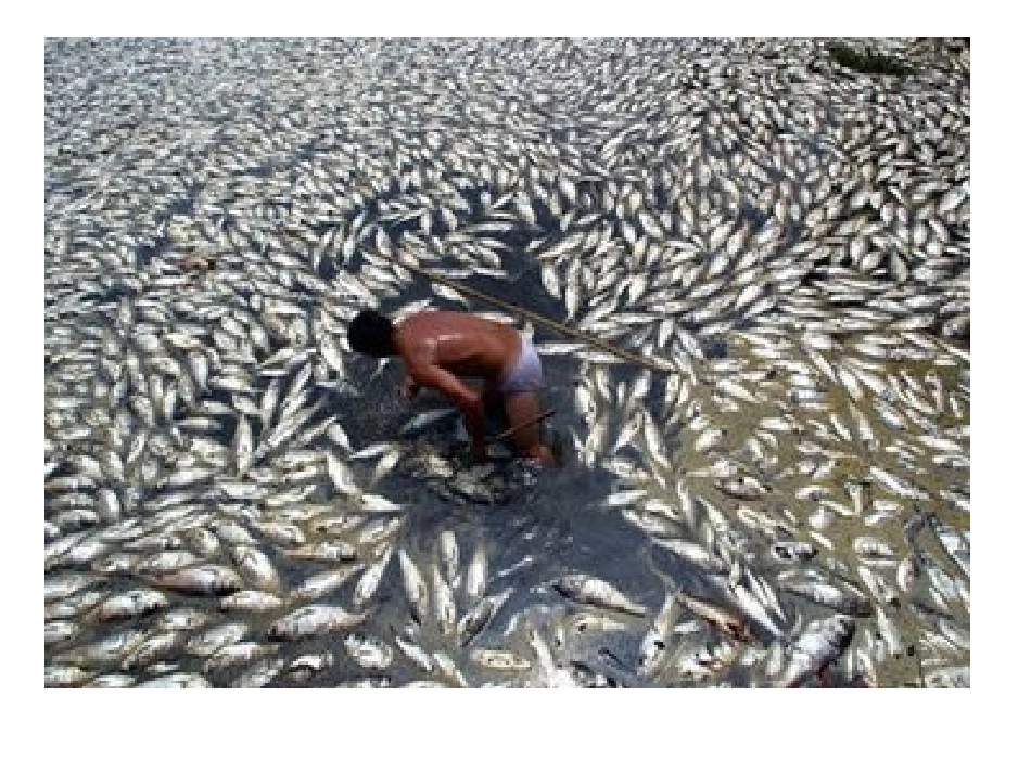 保护环境，爱护家园_第3页