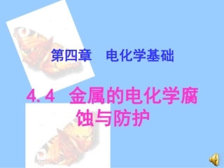 第4-4节金属的电化学腐蚀与防护[1]