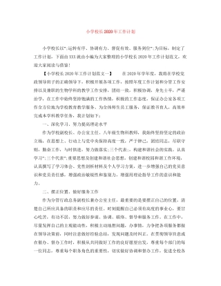 小学校长年工作计划