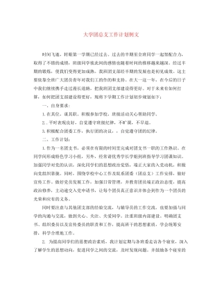 大学团总支工作计划例文