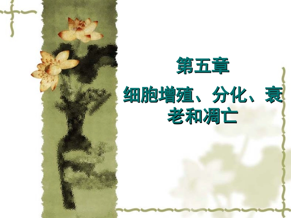 动物细胞的有丝分裂_第3页