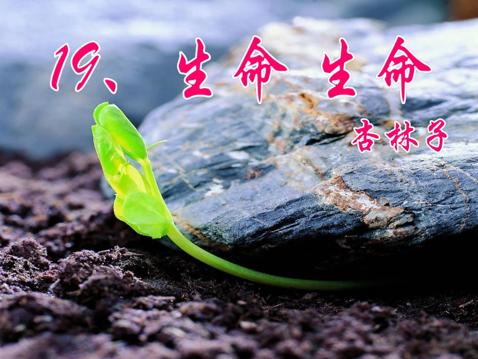 生命生命课件_第1页
